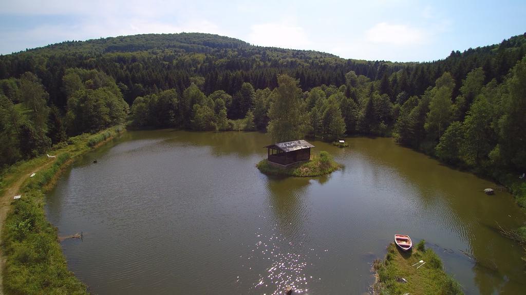 Hotel Bayerischer Wald Neukirchen  Εξωτερικό φωτογραφία