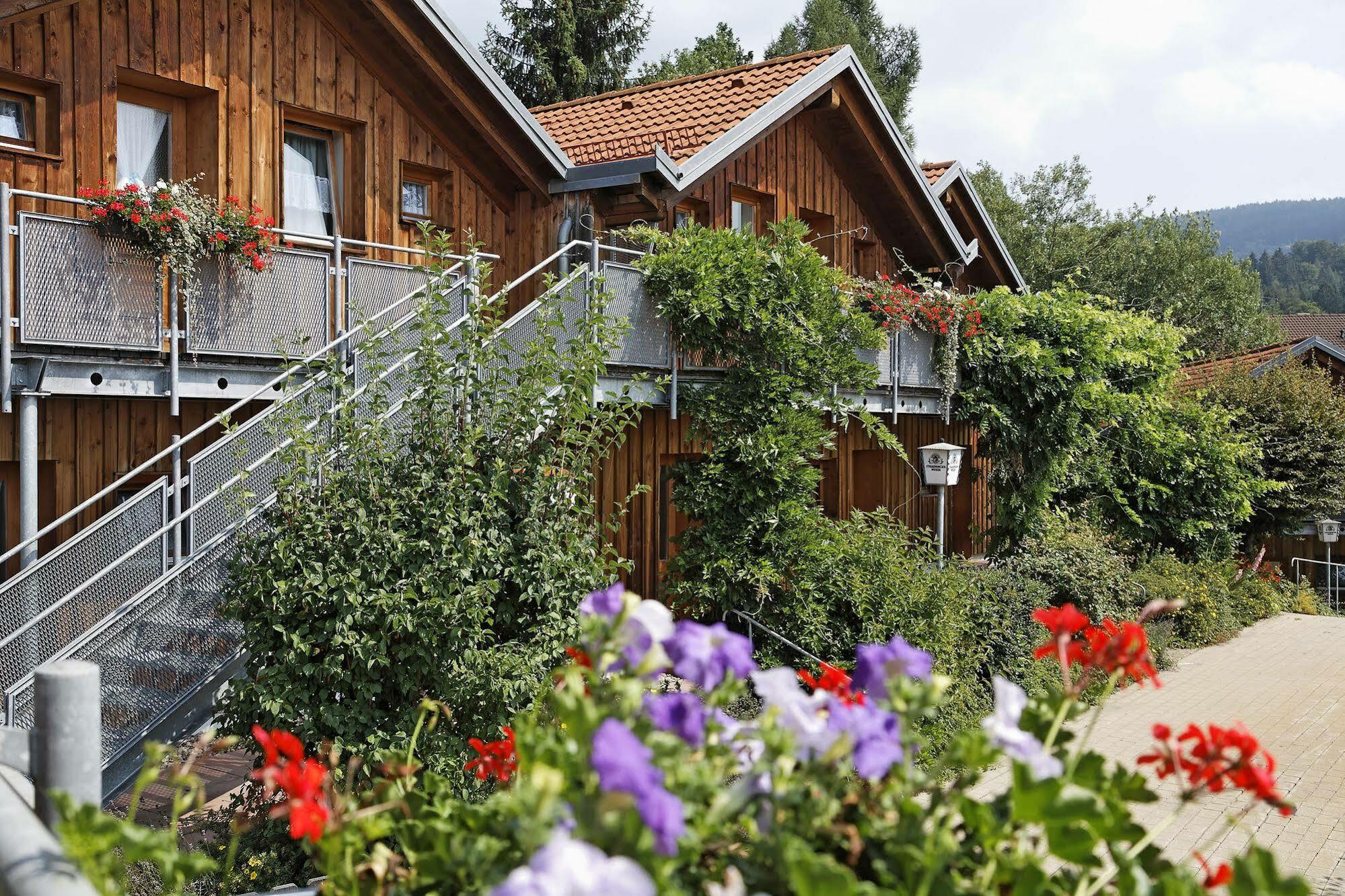 Hotel Bayerischer Wald Neukirchen  Εξωτερικό φωτογραφία